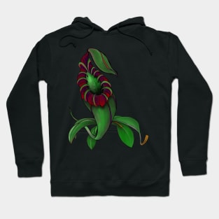 Botanical Nepenthes Pitcher Plant Carnivorous Plant Gift Idea Hoodie